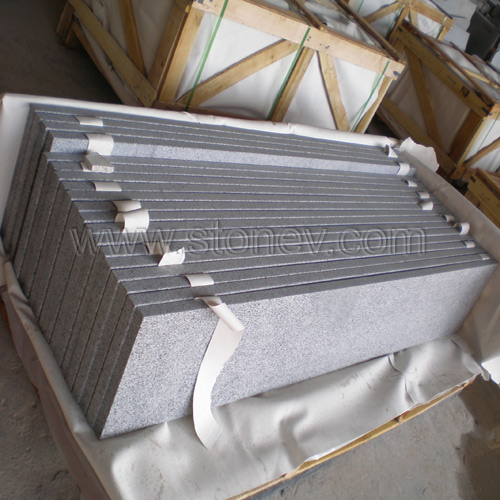 G654 Steps