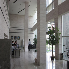 China Marble Grey Wood Grain