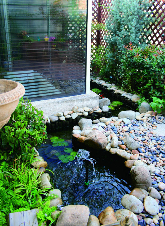 Garden and Fountain