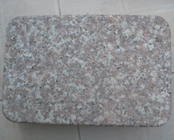 G687 Paving Stone