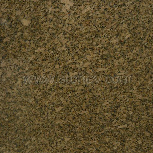 Brazil Granite Carioca Gold