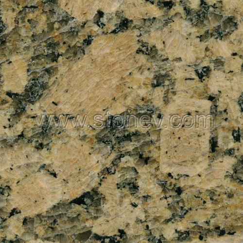 Brazil Granite Giallo Fiorito