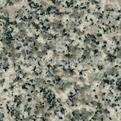 Granite G623 Silvery Grey