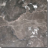 Spain Marble Crema Marfil