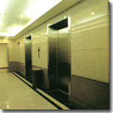 Granite Wall Tiles